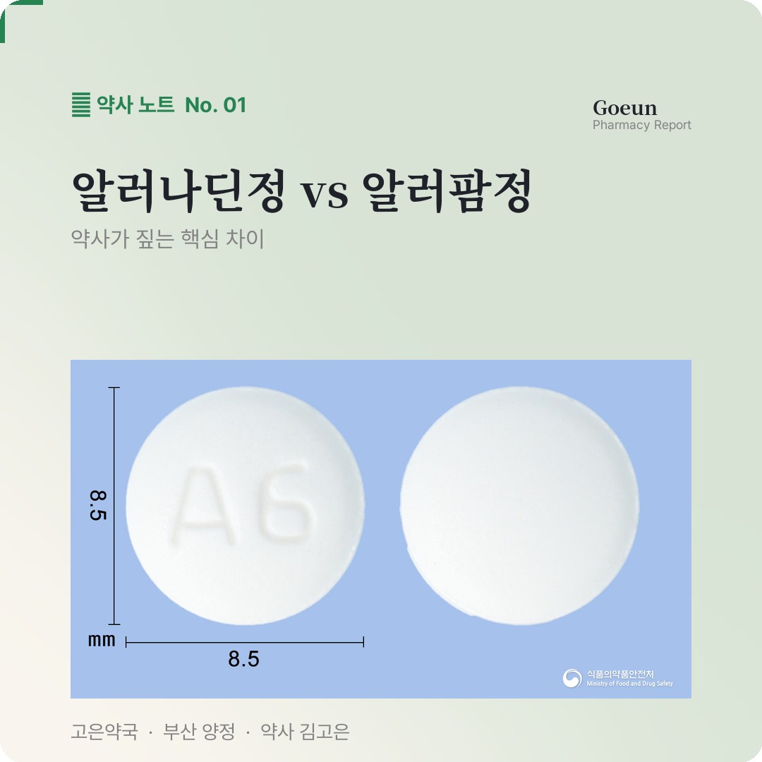 알러나딘정 vs 알러팜정 완벽비교 | 약사가 알려주는 차이점