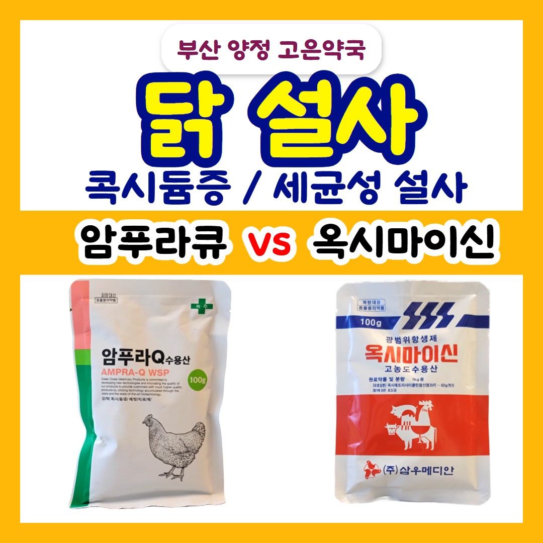 닭 콕시듐 암푸라큐 암푸라Q, 병아리 설사 가축용 옥시마이신