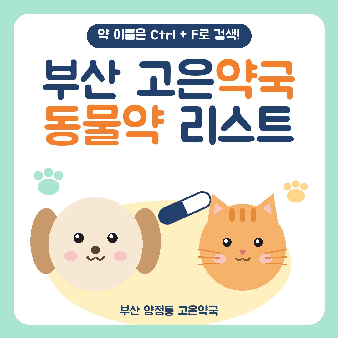부산 동물약국 고은약국 동물의약품 취급 안내 — 예방약부터 만성질환약까지