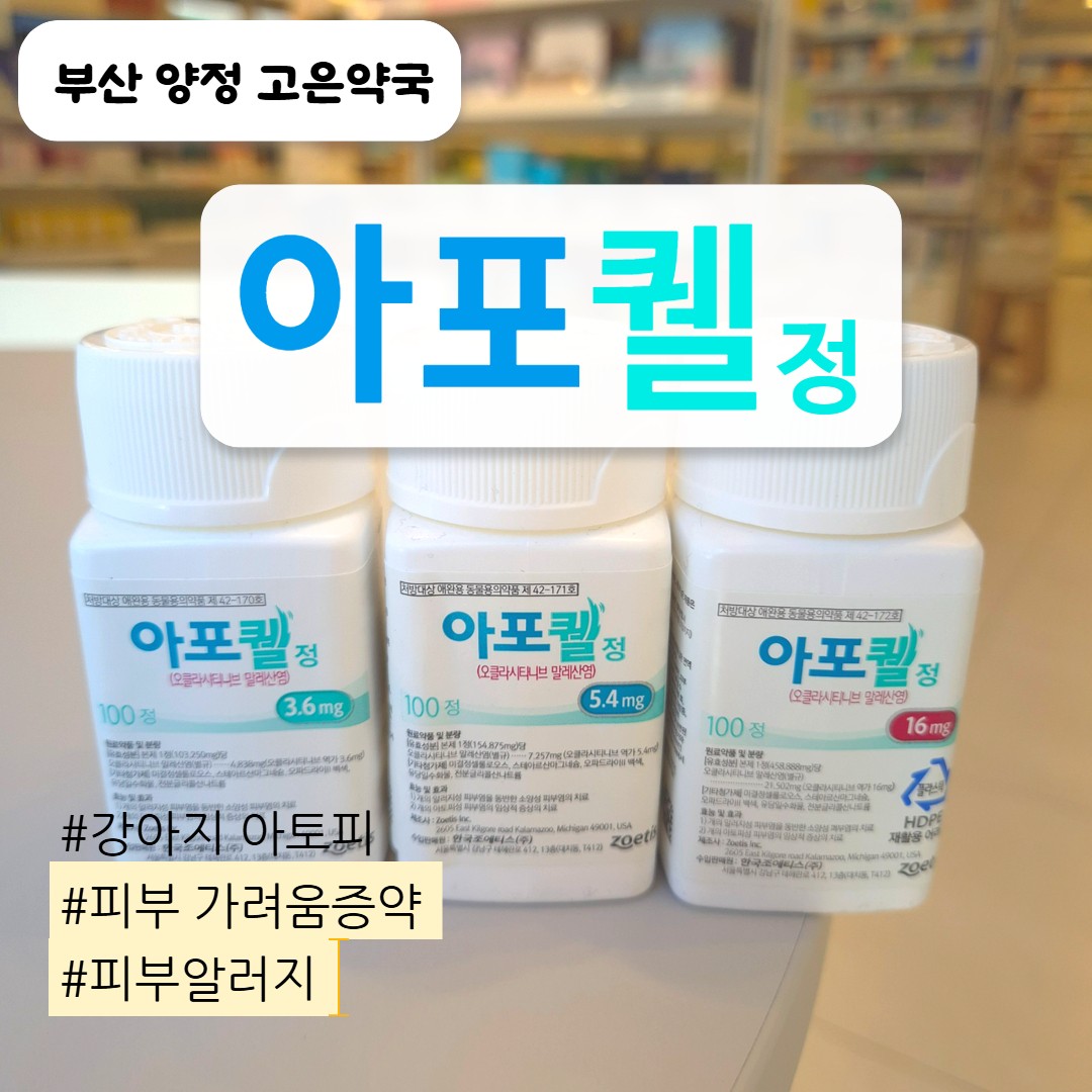 아포퀠 효과, 가격, 부작용, 판매 약국, 장기복용 안전할까?