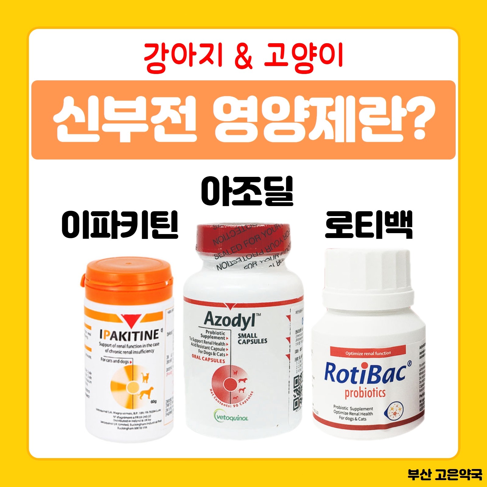 아조딜 vs 이파키틴 vs 로티백 부산 신장 영양제 비교하기