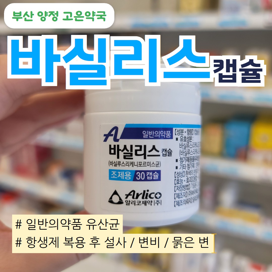 바실리스캡슐 | 항생제 복용 시 설사 예방 · 과민성대장 완화에 좋은 정장제