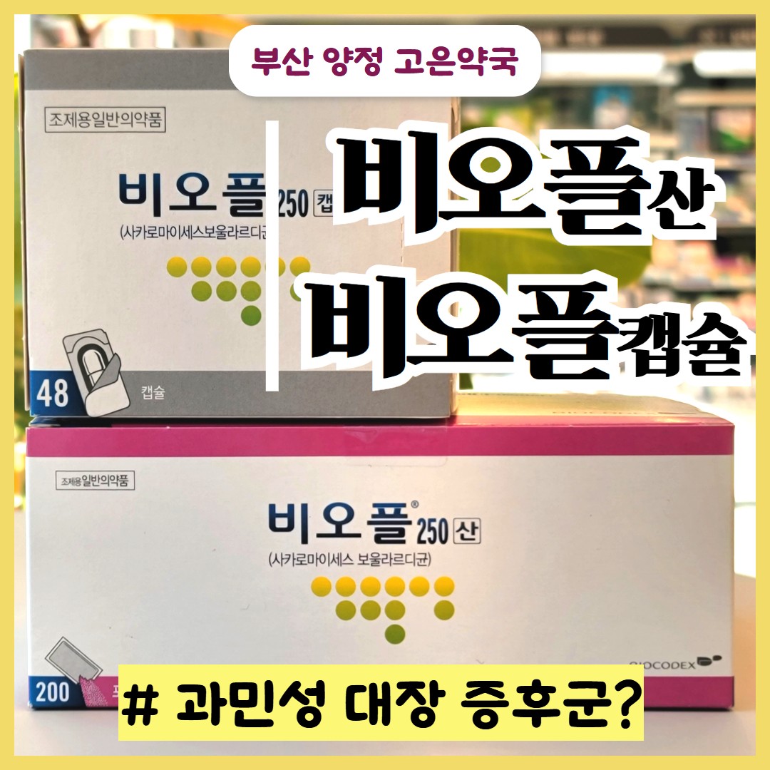 비오플250산, 비오플캡슐 / 항생제랑 같이 먹어도 되나요? 과민성 대장증후군에 효과 있을까요?