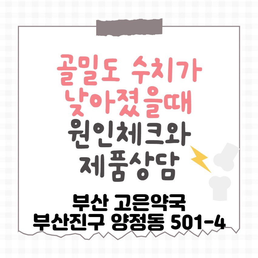 골밀도 수치가 갑자기 낮아졌다면 이런 부분을 체크해주세요!