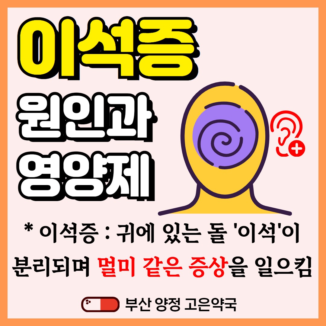 누웠다 일어나면 어지러워요. 귀 속 돌멩이가 원인? 이석증의 원인과 영양제