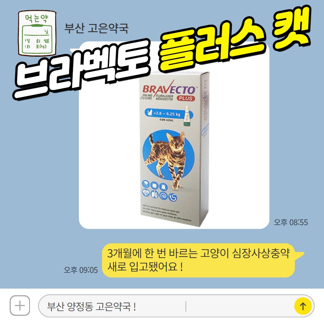 1년에 4번이면 충분! 고양이 내·외부 기생충 싹 잡는 브라벡토 플러스 캣
