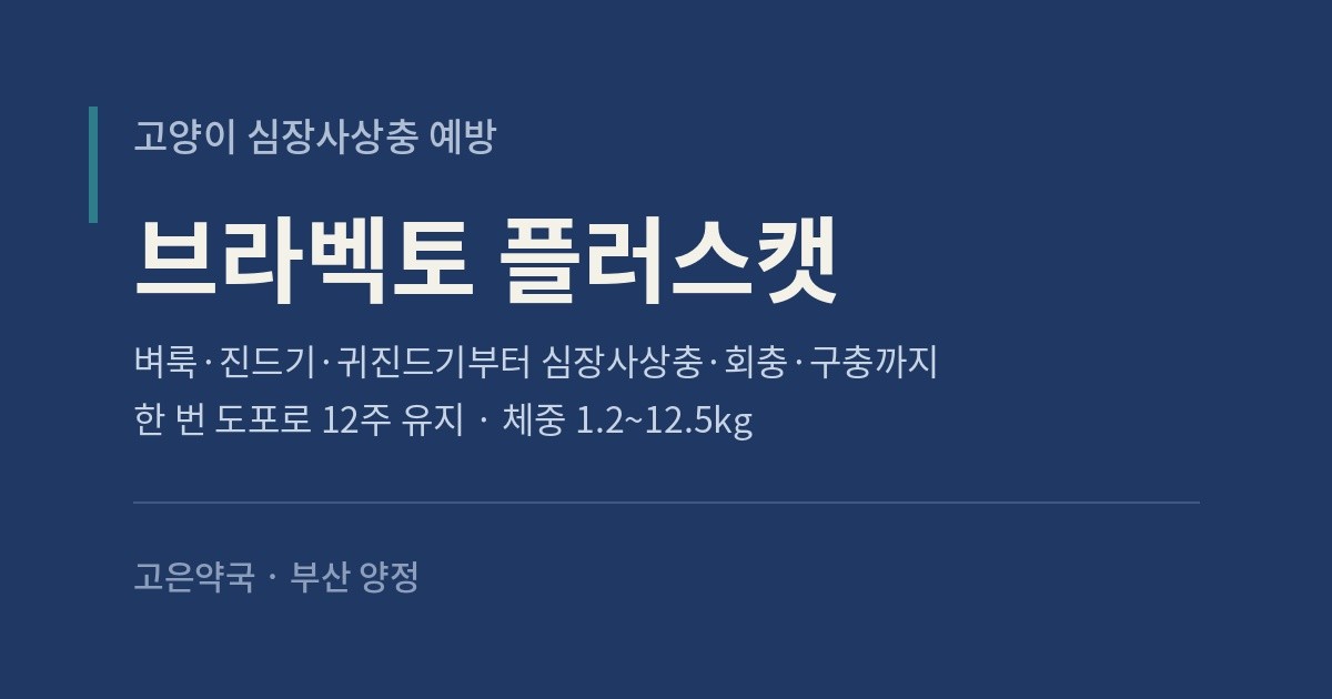 고양이 심장사상충약 브라벡토 플러스캣을 찾으시는 분들이 많아졌습니다