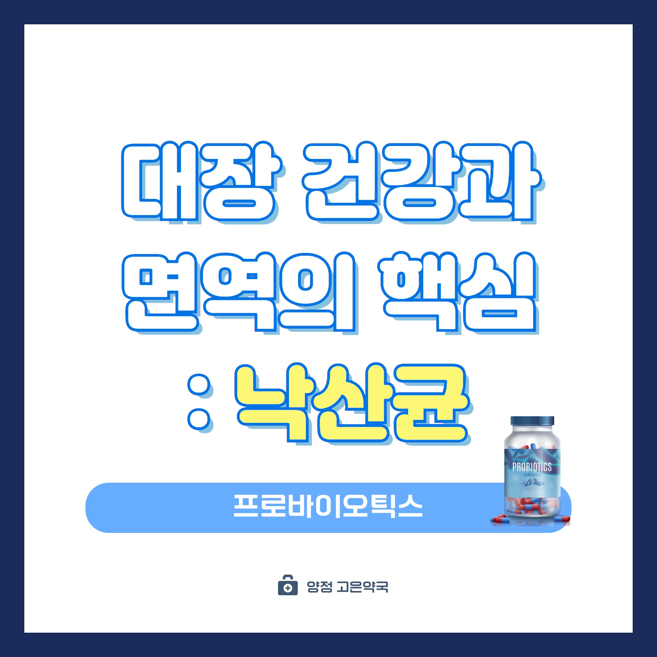 낙산균이 무엇이길래? 대장 건강의 핵심 낙산의 역할