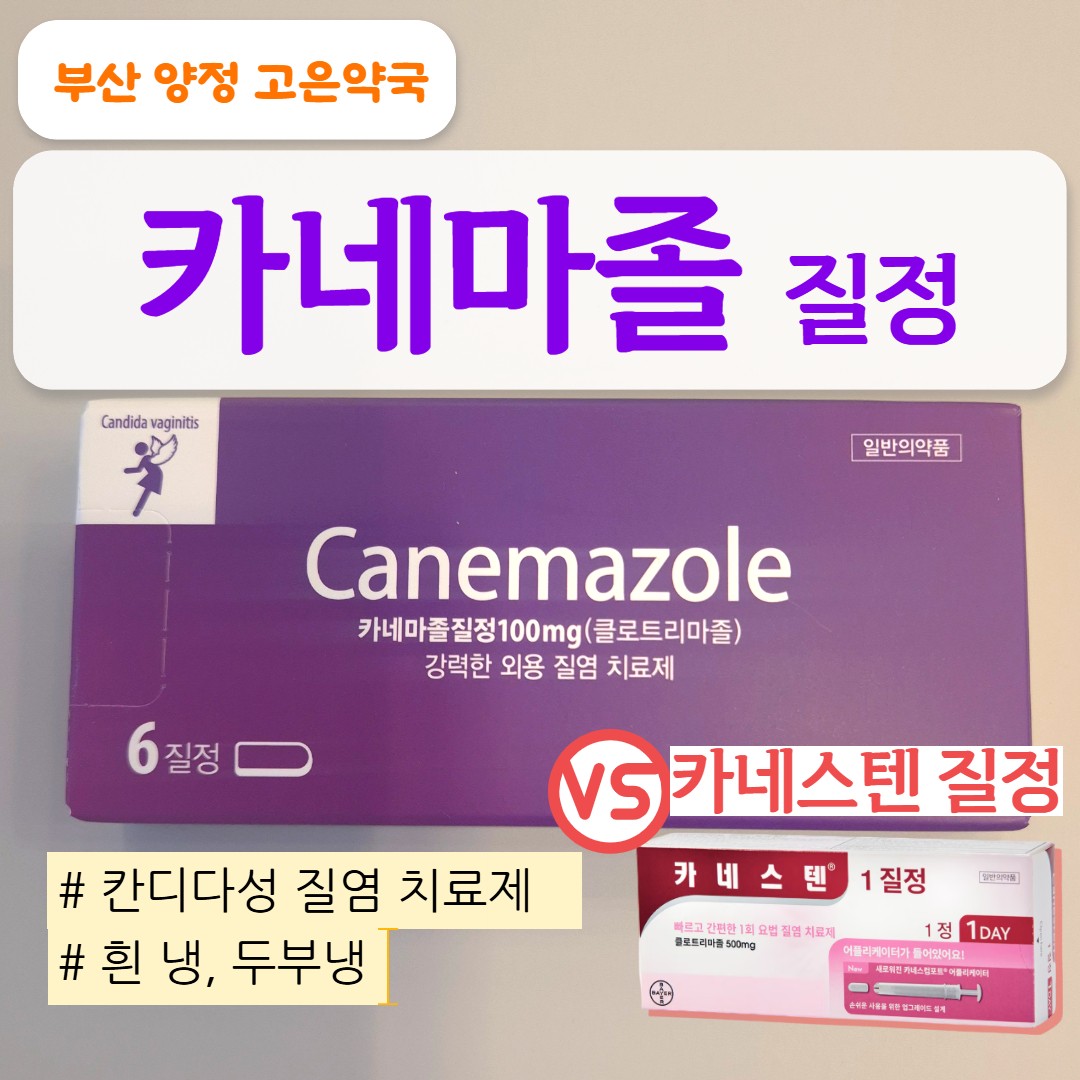 카네마졸질정 사용법·부작용·효능·가격｜카네스텐질정과 비교 분석