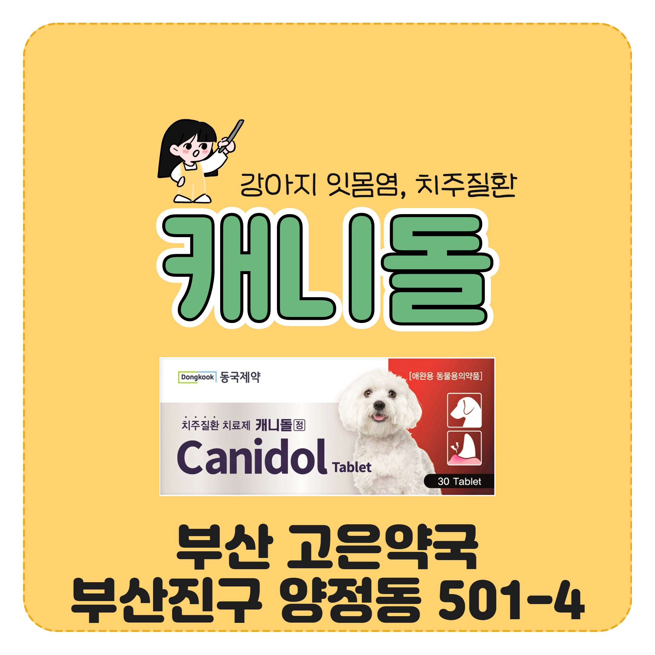 동국제약 캐니돌 강아지 잇몸염 치주질환 동물잇몸약