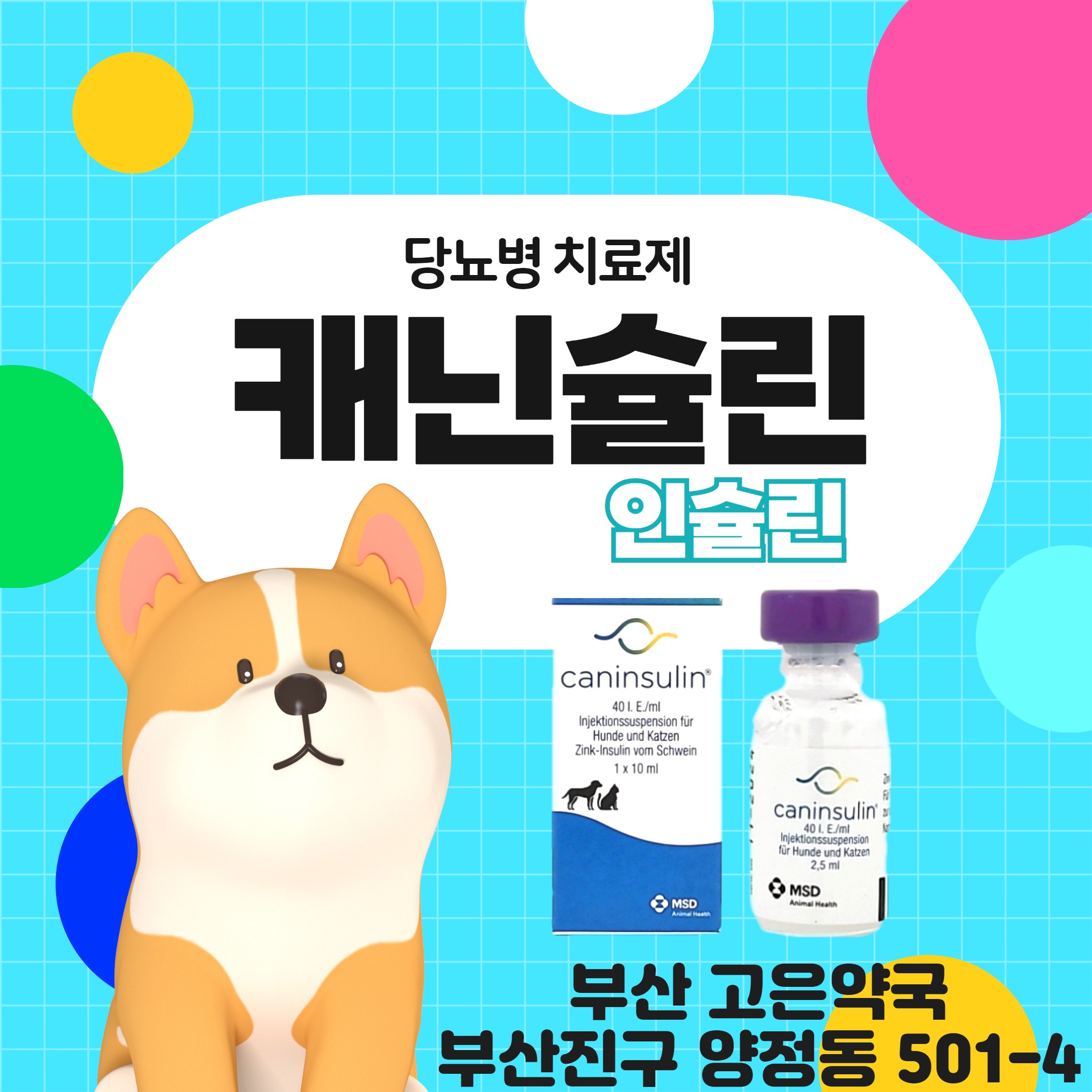 캐닌슐린 강아지 고양이 인슐린 부산 양정 고은약국