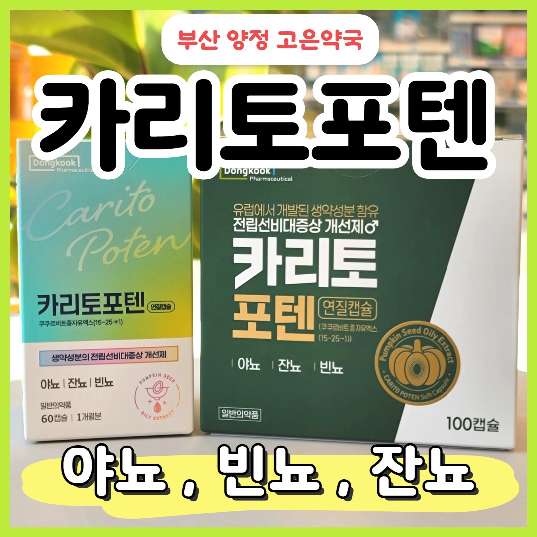 전립선비대증엔 동국제약 카리토포텐 , 효과, 가격, 약국 구입 안내