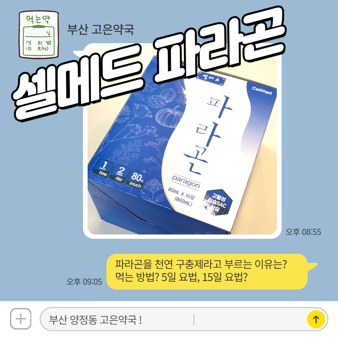 셀메드 파라곤 섭취방법 가격 5일요법 판매약국