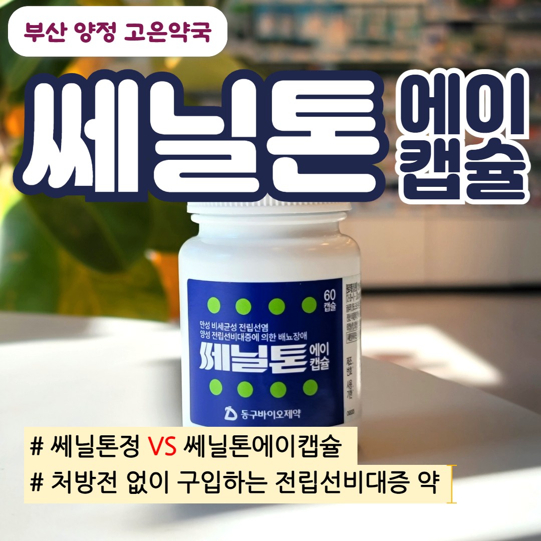 쎄닐톤 에이 캡슐, 쎄닐톤정 리뉴얼 차이점, 효과, 전립선 비대증