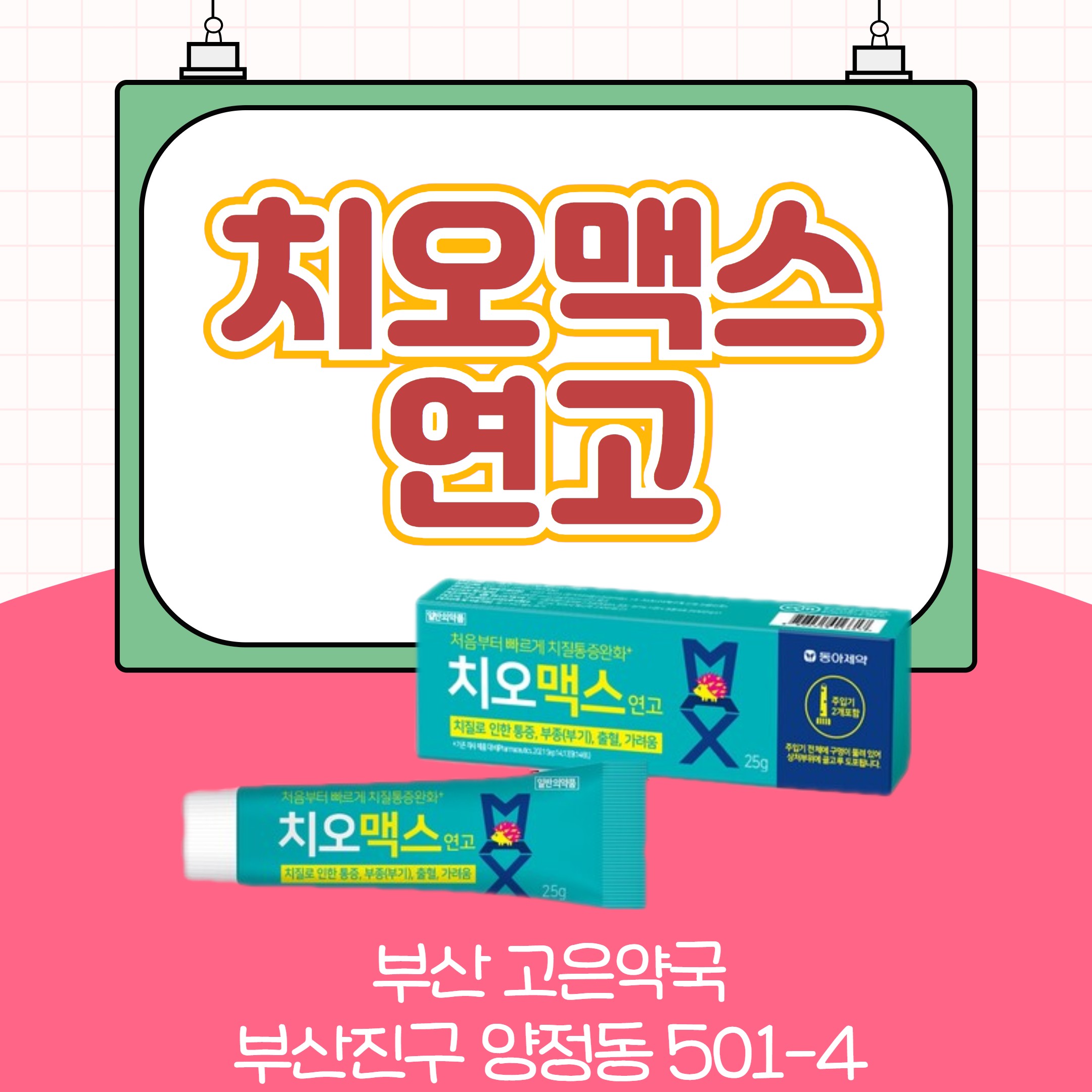 바르는 치질약 치오맥스연고 부산 고은약국