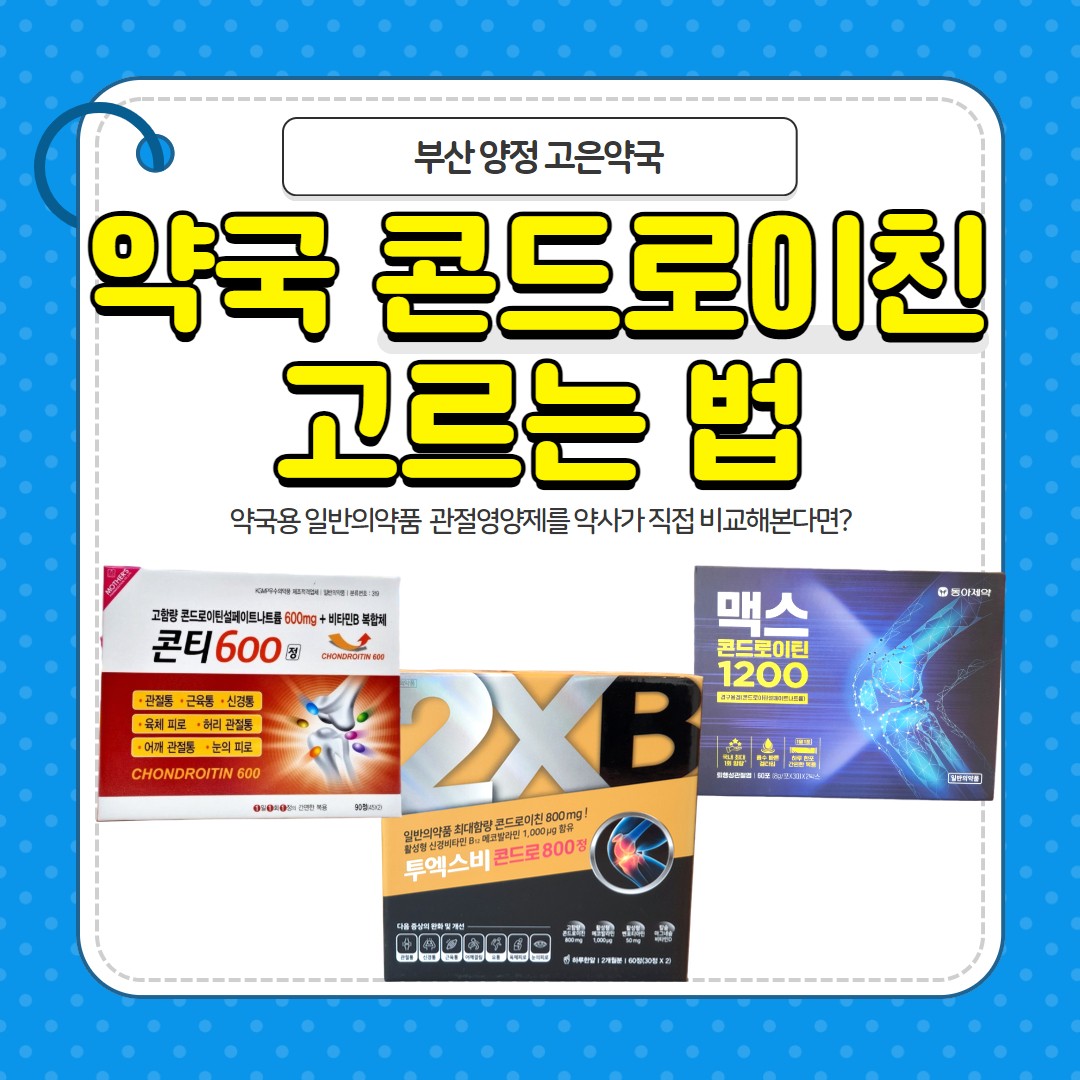 콘티600, 투엑스비콘드로800, 맥스콘드로이틴1200 제대로 비교해봤어요