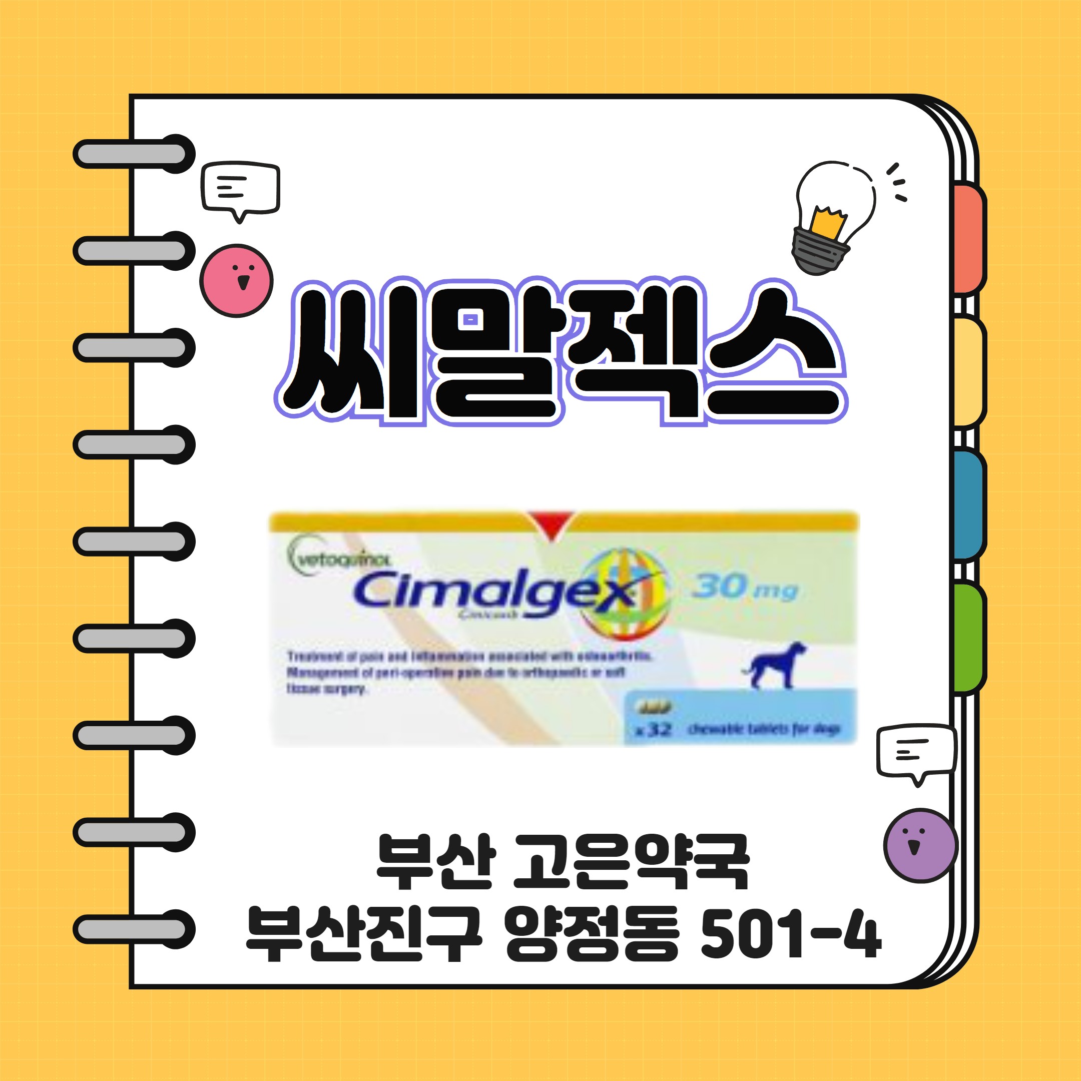 부산 씨말젝스정 30mg 강아지 골관절염 복용량 복용기간