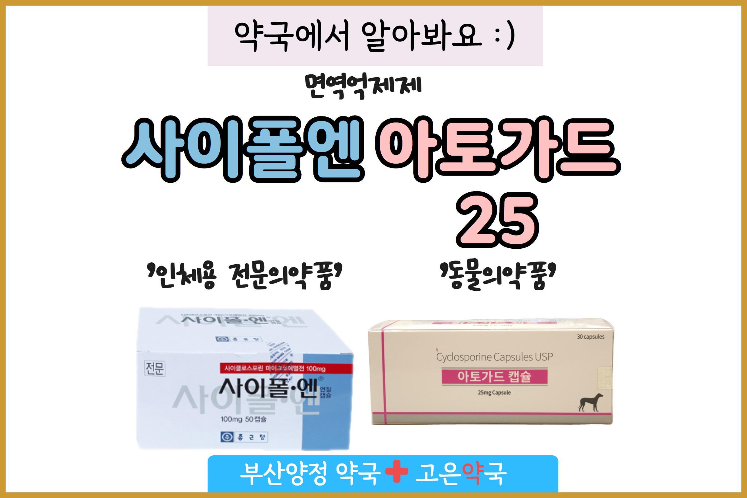 강아지 사이폴엔 먹이고 있는데 아토가드25 사용가능할까요?