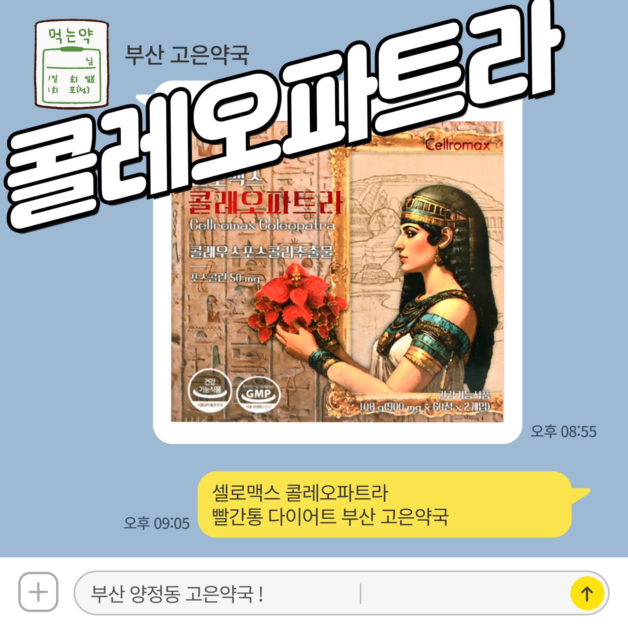 셀로맥스 콜레오파트라 빨간통 다이어트 부산 고은약국