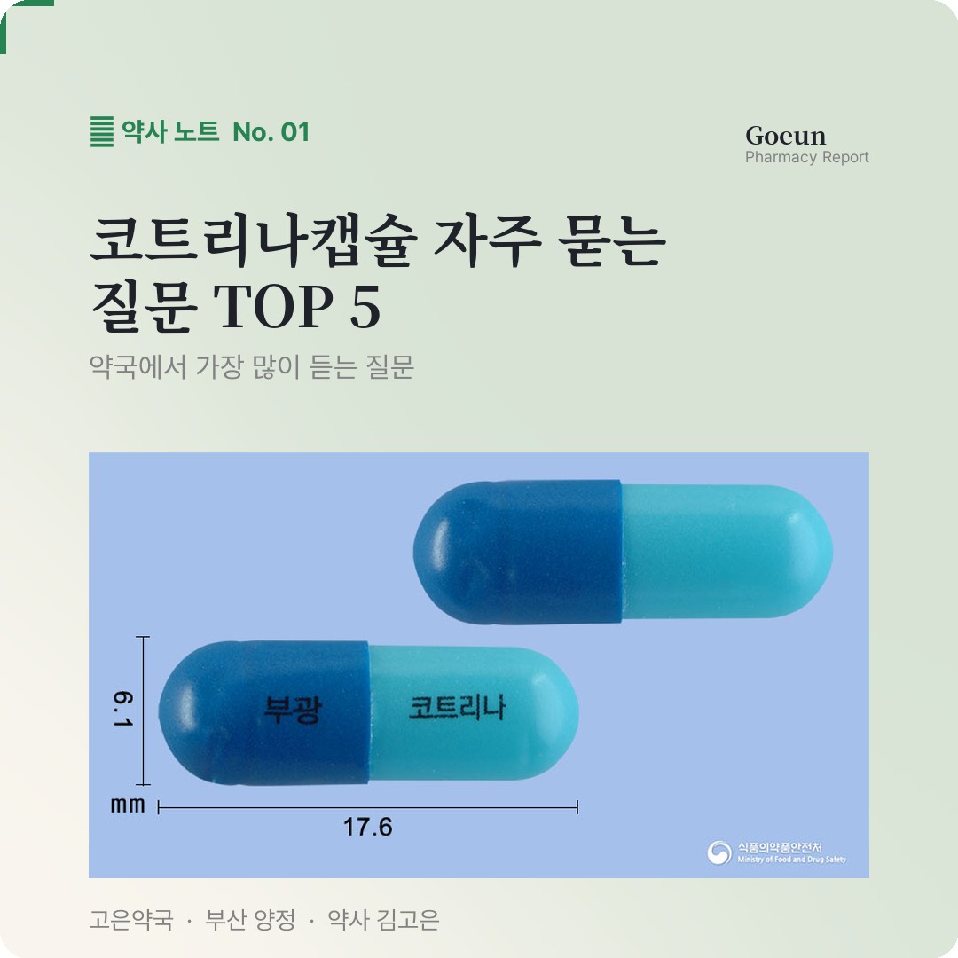 코트리나캡슐 자주 묻는 질문