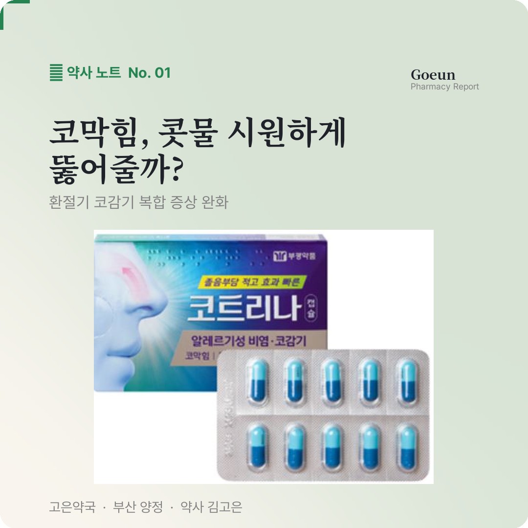 부광약품 코트리나캡슐 콧물 코막힘 환절기 비염 일반의약품