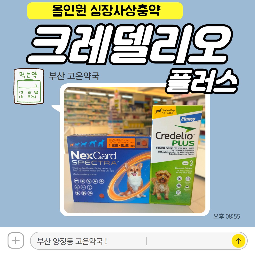 크레델리오플러스 vs 넥스가드스펙트라 차이점은? 올인원 강아지 심장사상충약 비교!