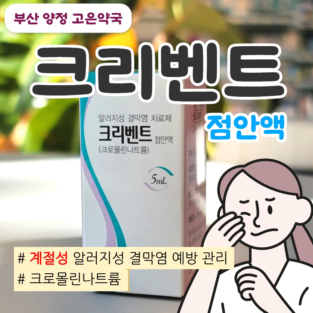 크리벤트 점안액 사용법·효과·비교｜알레르기 결막염 눈 가려움 예방 안약