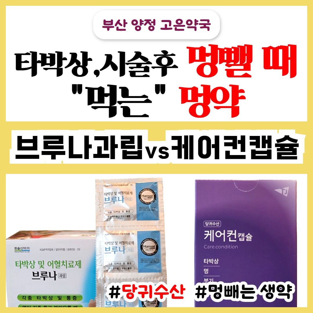 멍 뺄 때 먹는 멍약 당귀수산, 브루나 과립, 케어컨캡슐, 붓기 타박상 성형수술 후