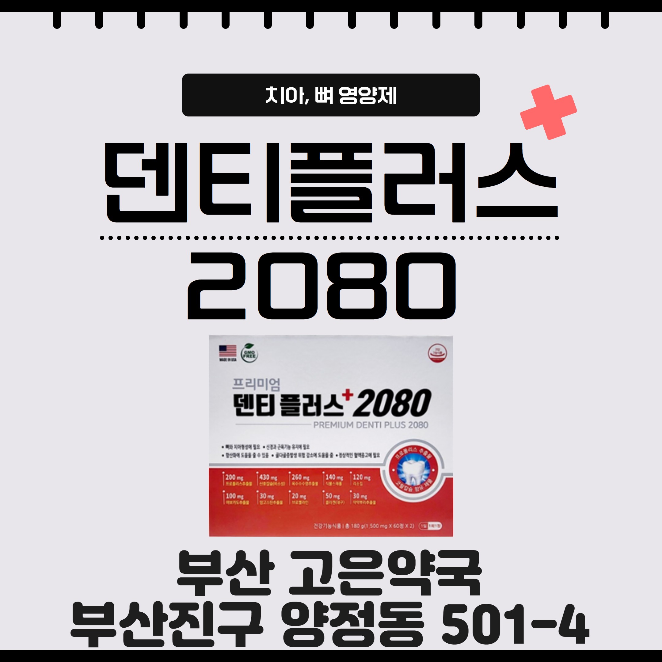 부산 프리미엄 덴티플러스2080 고은약국