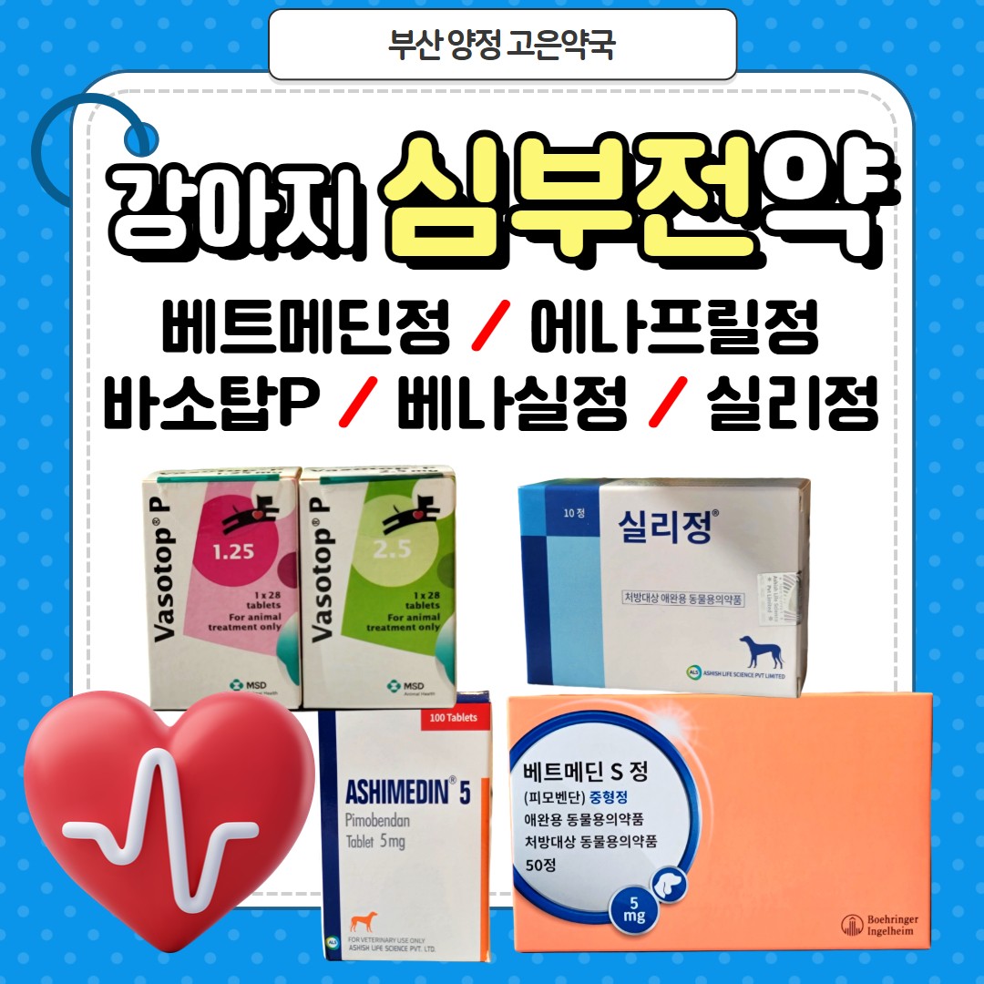 강아지 심부전 치료제 동물약국에서 구입하기, 베트메딘, 에나프릴정, 바소탑P, 베나실, 실리정