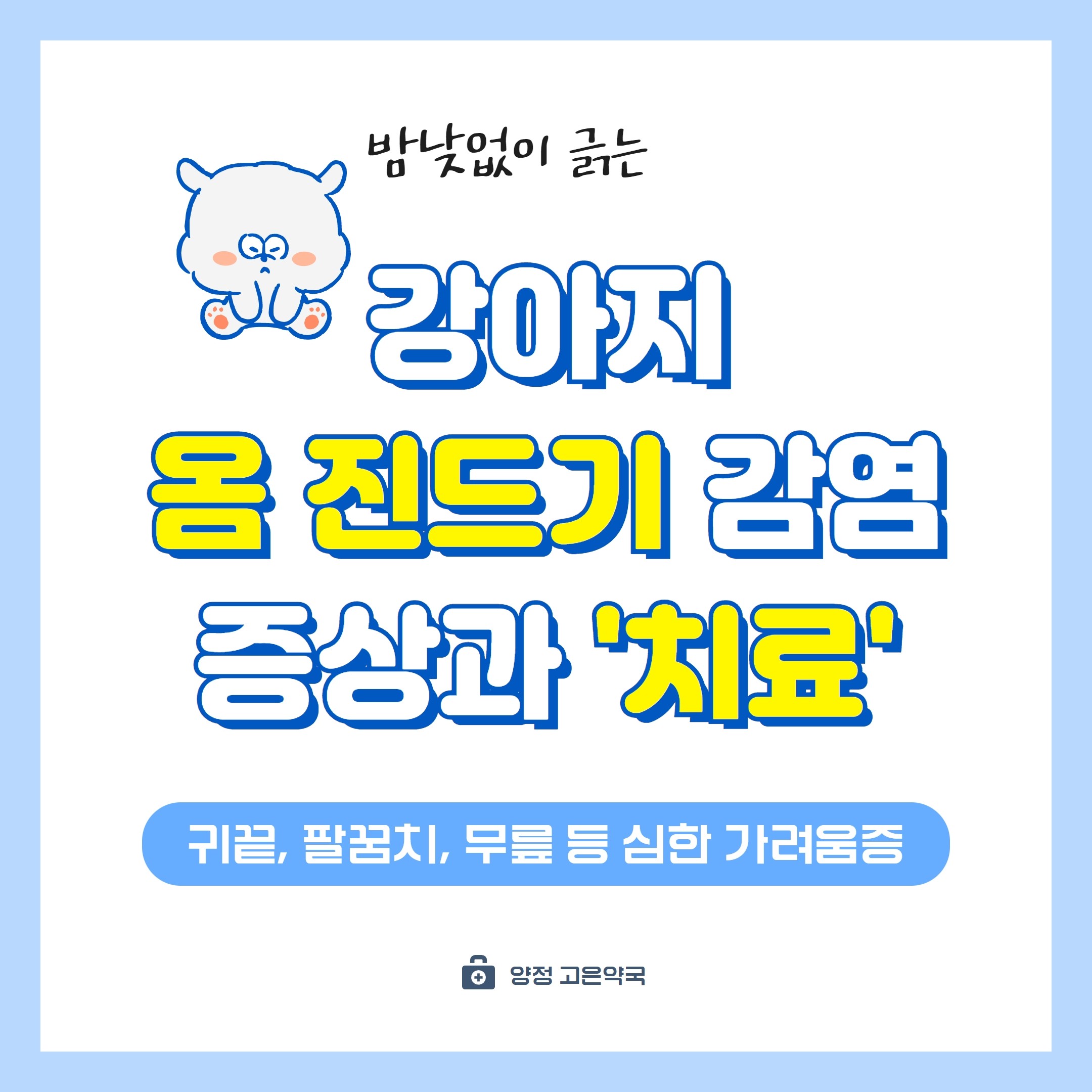 부산 강아지 옴진드기 개선충 옴 증상과 치료제