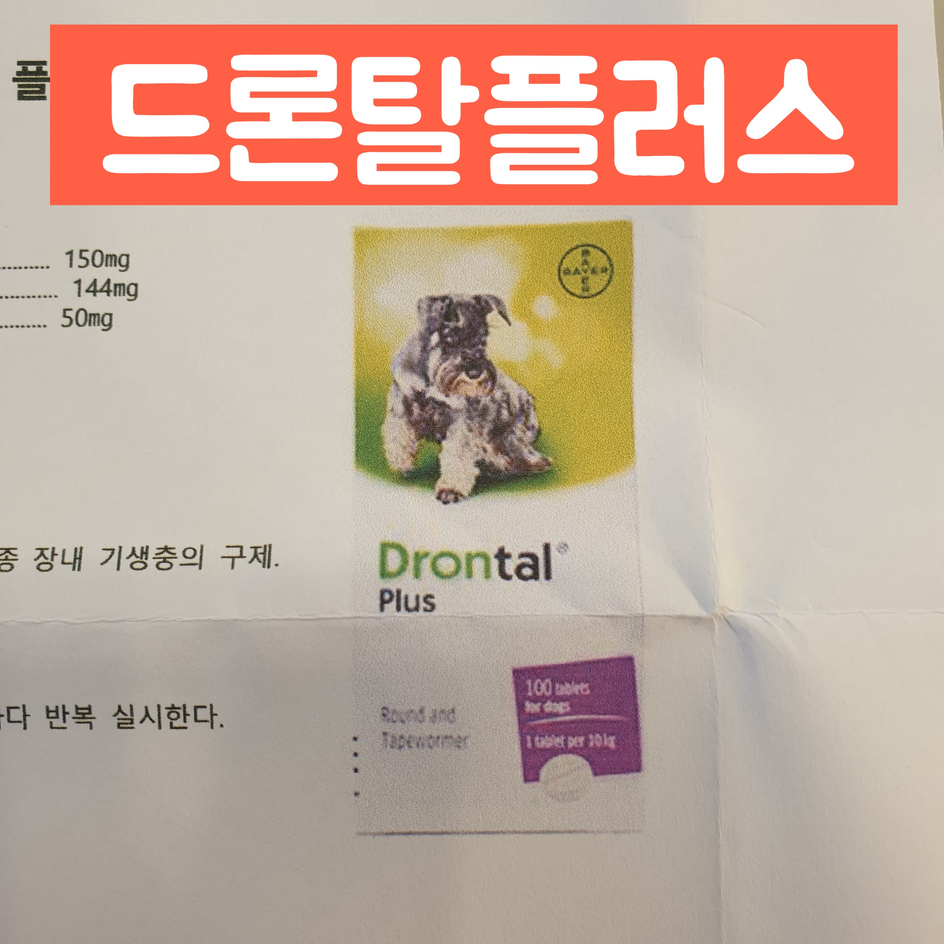 강아지 광범위 구충제 드론탈 플러스, 넥스가드 꼬박꼬박 먹였는데 촌충이 나왔어요