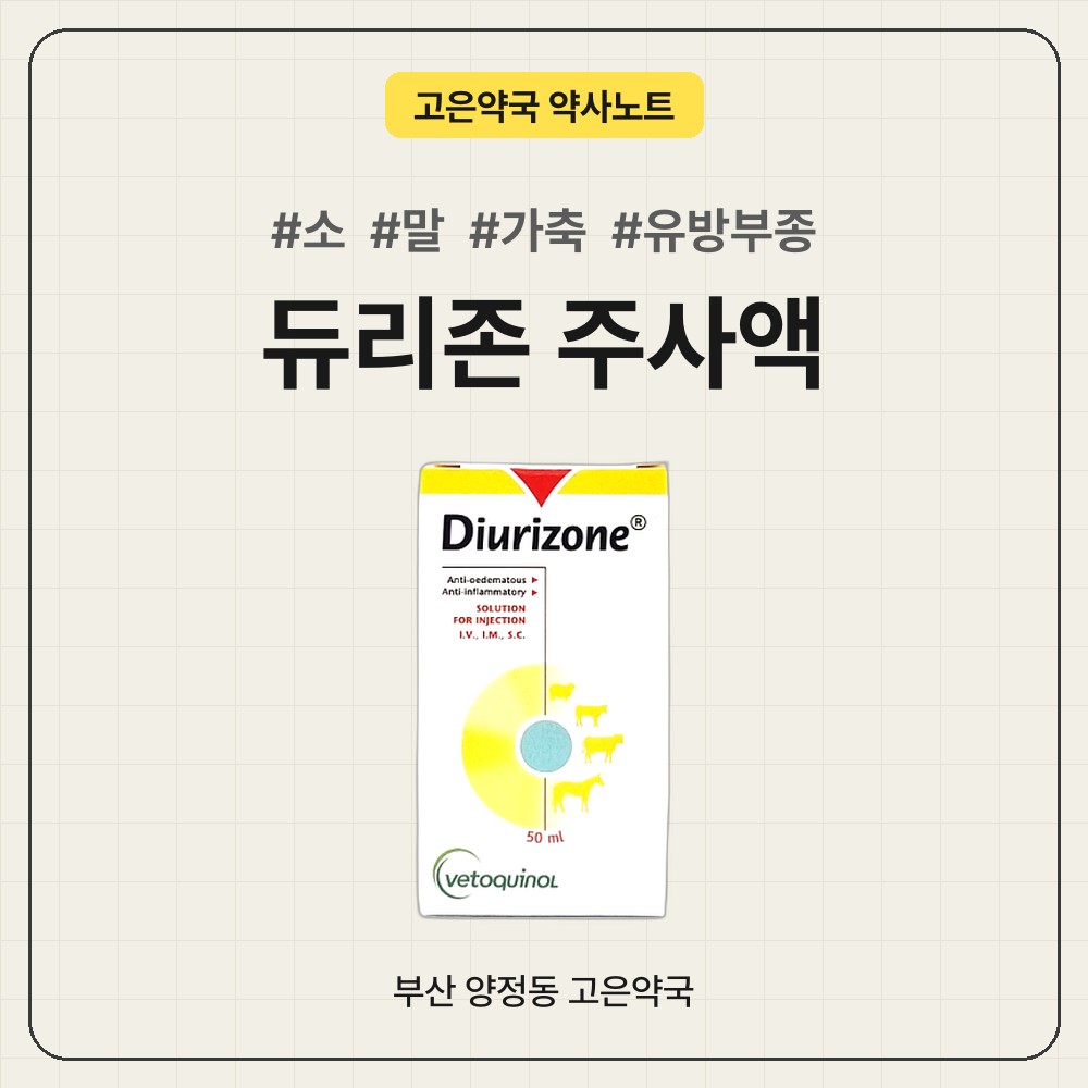 말, 소 유방부종에 쓰는 듀리존 주사 용법, 쓰기 전에 확인할 것들