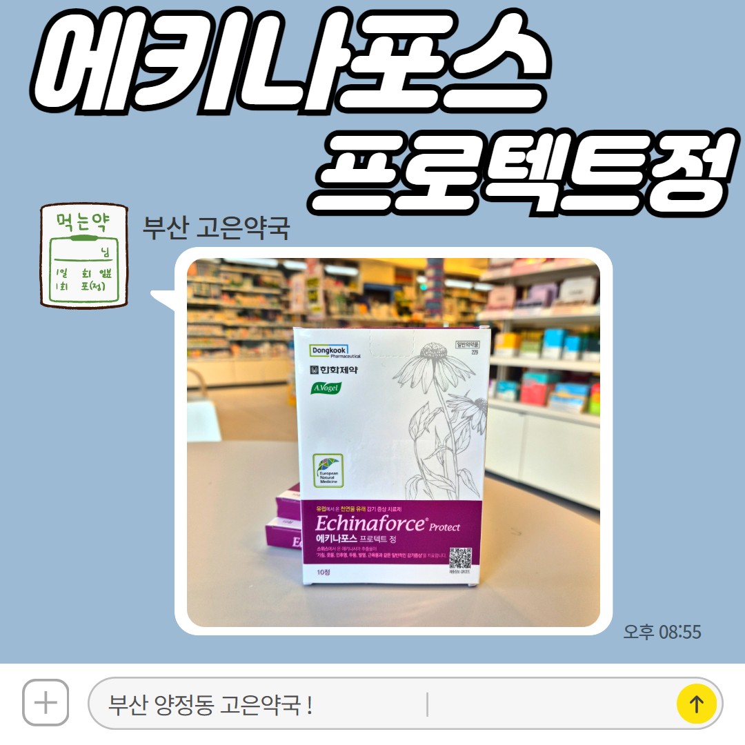 에키나포스 프로텍트정, 천연 성분 허브 감기약 에키나시아