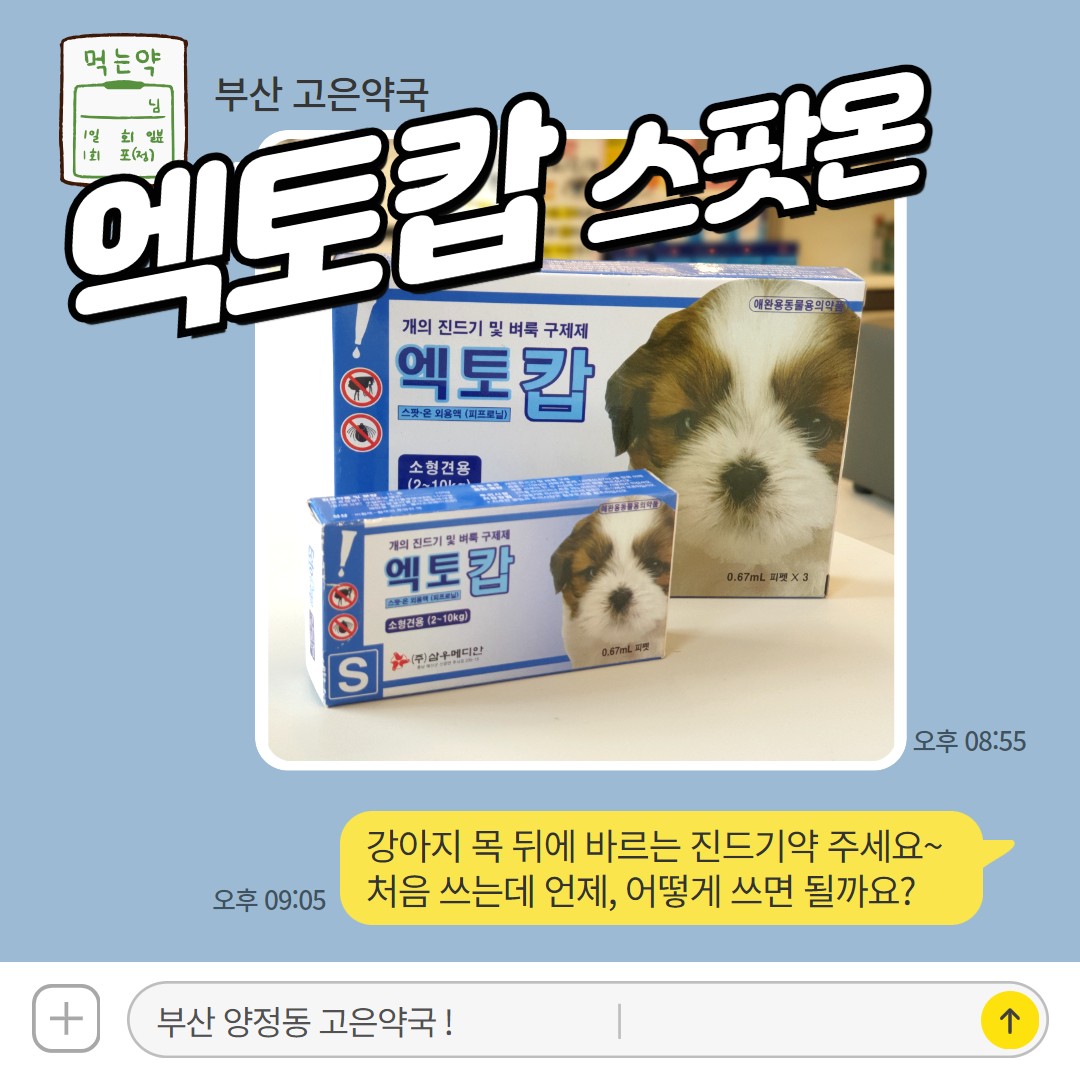 엑토캅 스팟온, 외부기생충약 처음 사용하는 보호자를 위한 사용법 총정리