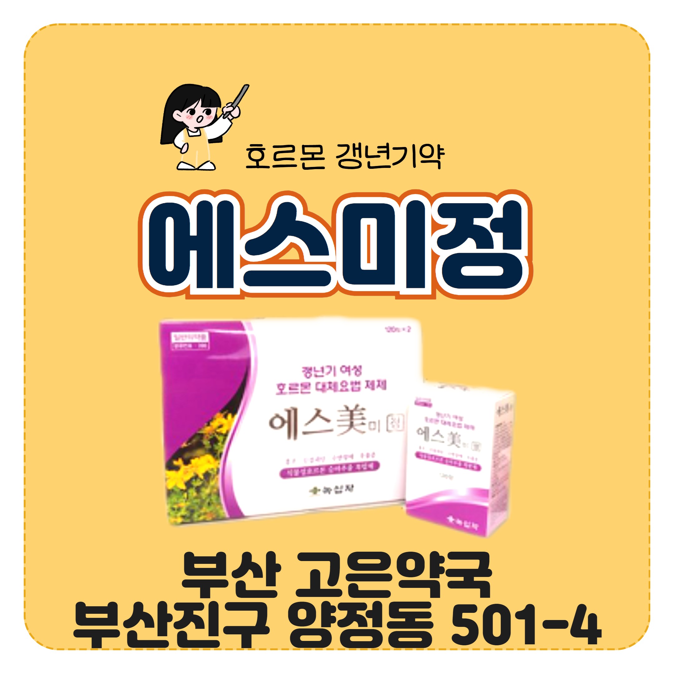 녹십자 에스미정 식물성 호르몬 갱년기약