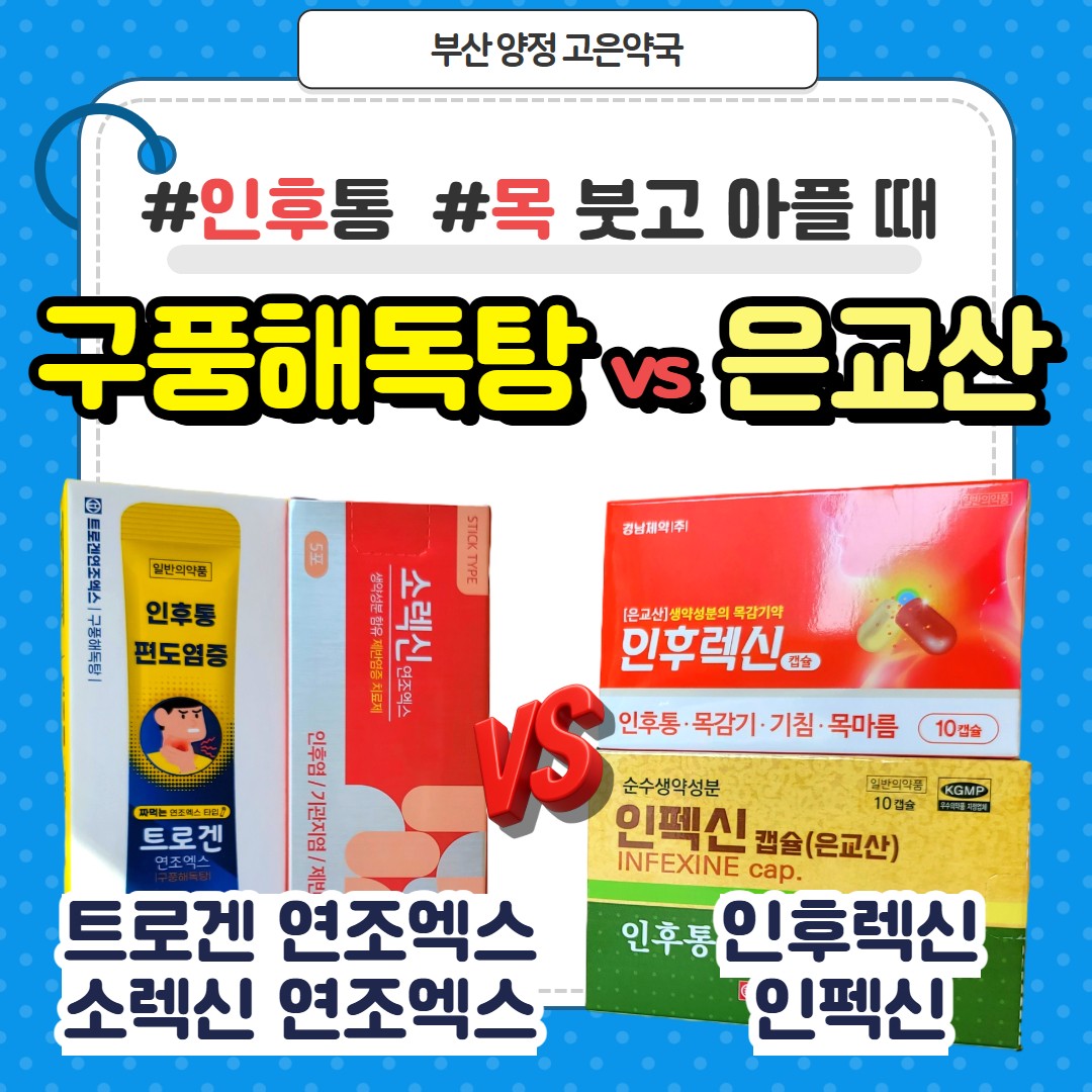 은교산 vs 구풍해독탕, 목아플때·편도염에 더 잘 맞는 약은? 인후렉신,인펙신,소렉신,트로겐