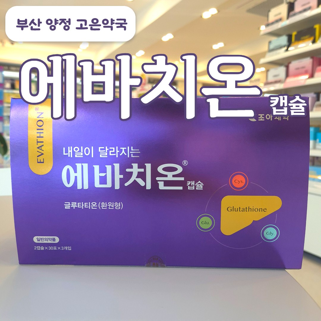 에바치온 글루타치온 의약품, 간해독, 숙취, 미백 효과? 복용법과 판매 약국