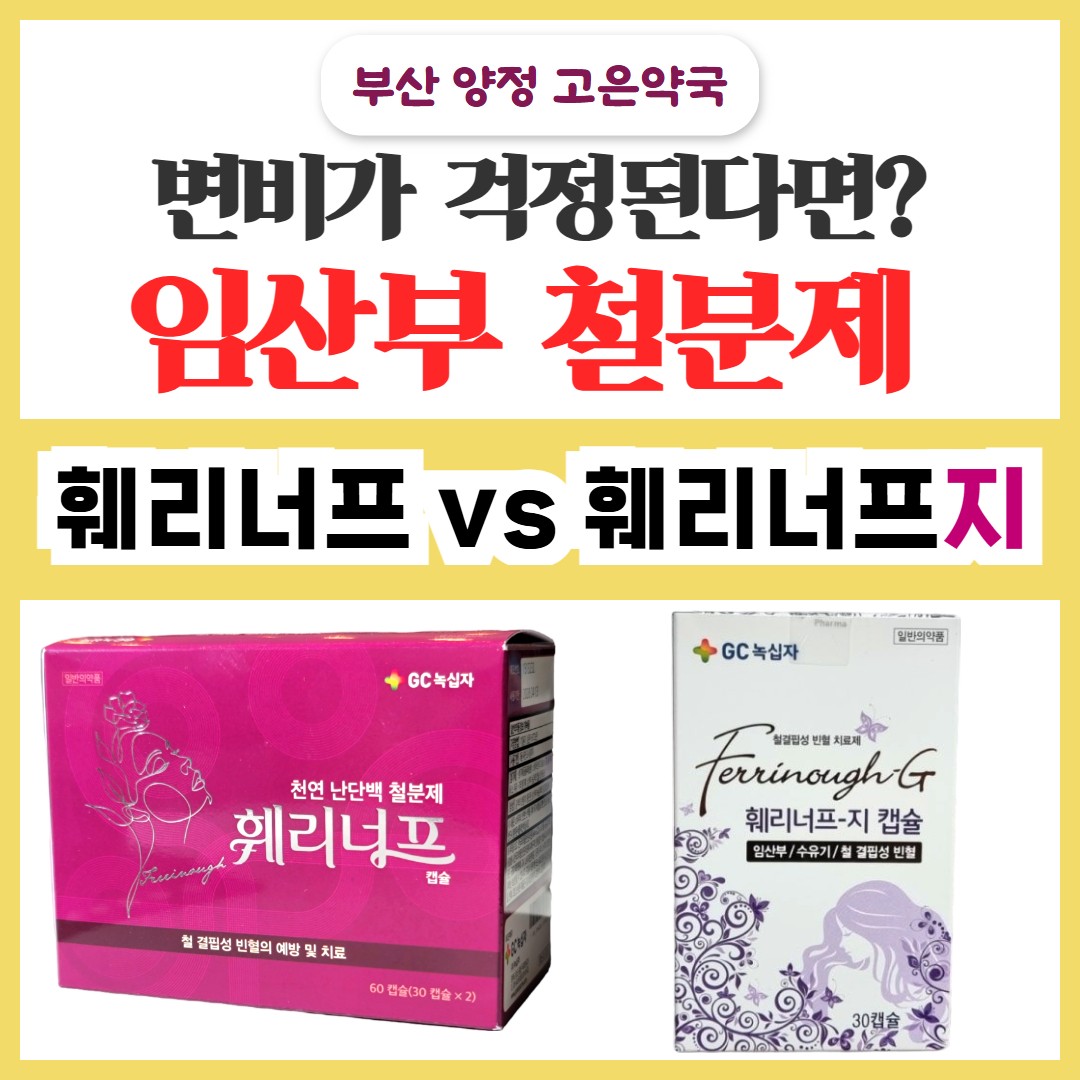 약국용 철분제 훼리너프 캡슐 vs 보건소 철분제 훼리너프지 캡슐, 차이점과 임산부 변비없는 철분제 알아보기
