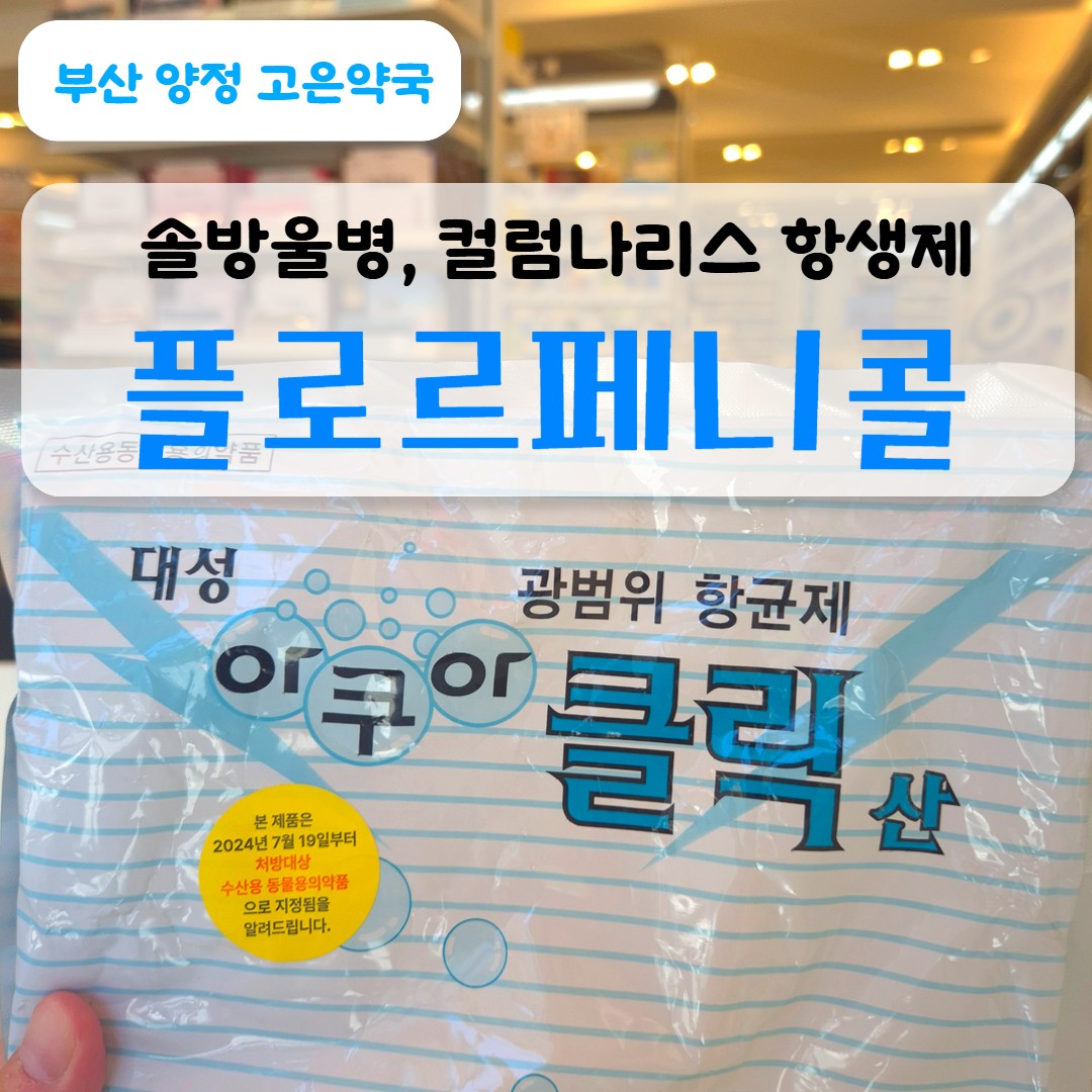 플로르페니콜 항생제 아쿠아클릭산 vs 아쿠아콜100 -솔방울병 컬럼나리스병 치료제 비교