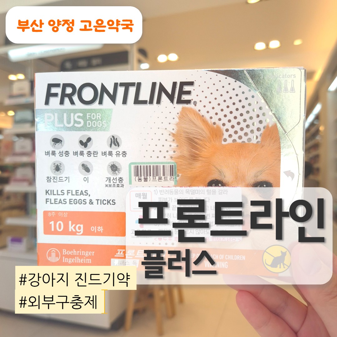 프론트라인 바르는 법, 넥스가드랑 차이점, 강아지 진드기약