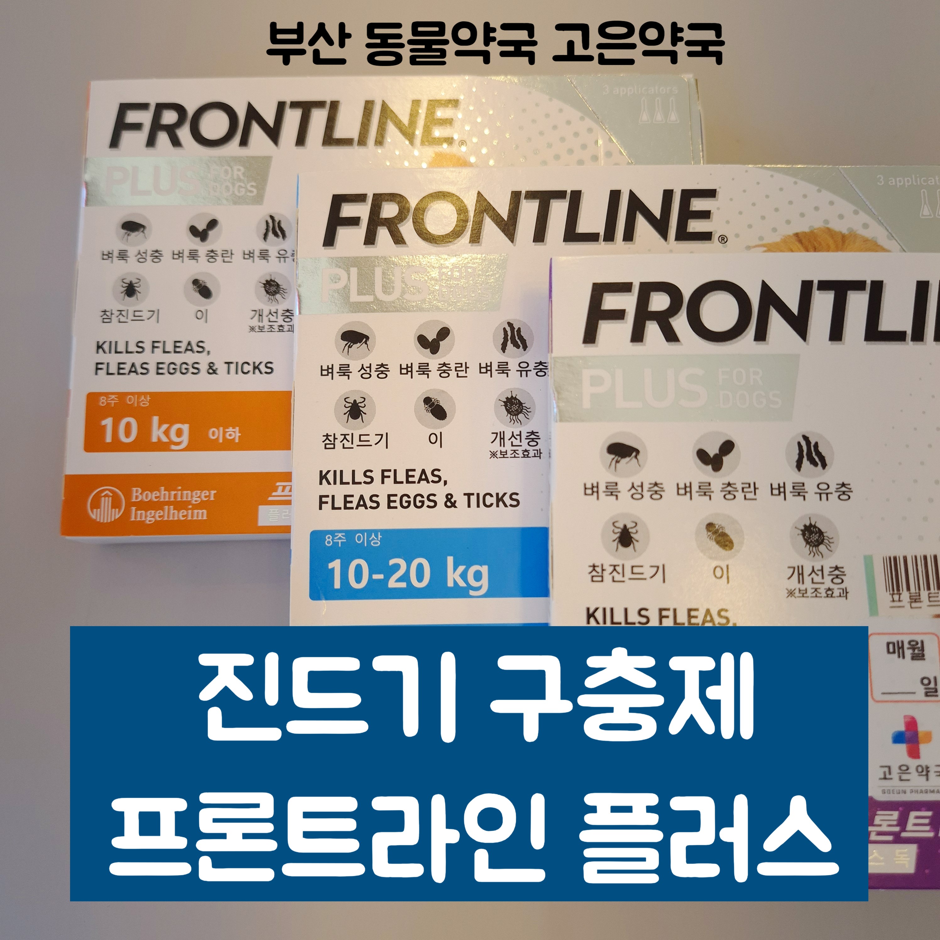 강아지 프론트라인 플러스 심장사상충약이랑 같이 써야 하나요? 사용법 총정리
