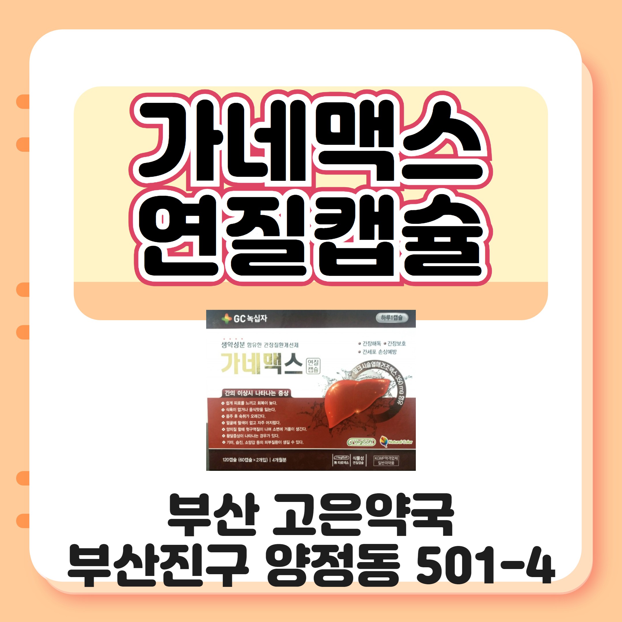 부산 녹십자 가네맥스연질캡슐 간장질환개선제