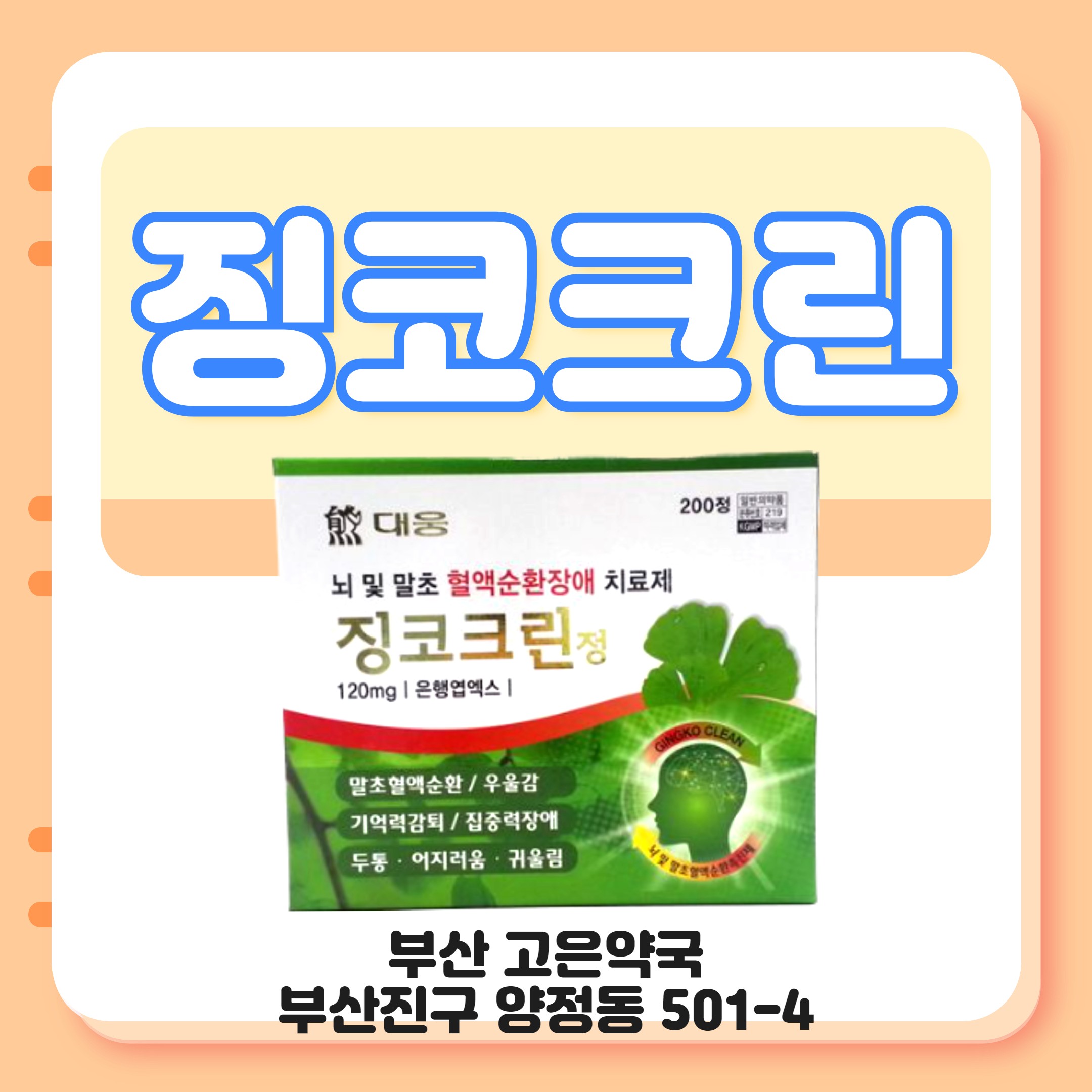 부산 대웅 징코크린정 수족냉증 손발저림 어지럼증 이명 두통