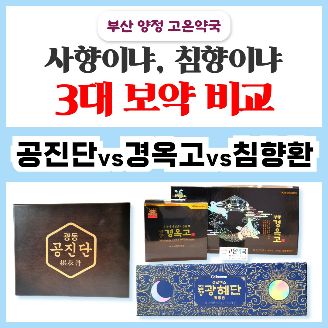 3대 대표 보약, 공진단 vs 경옥고 vs 침향환 차이 효과 체질 비교