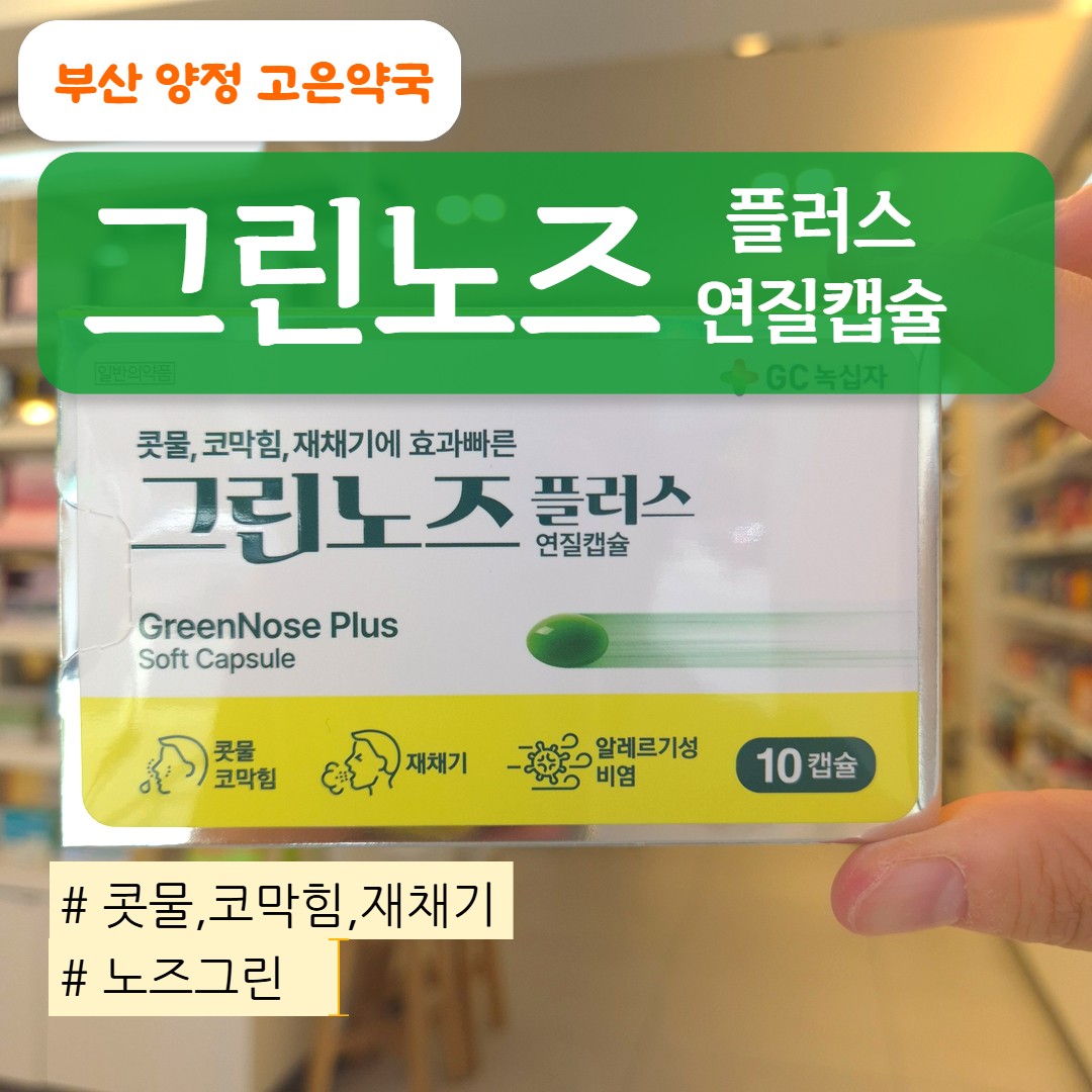 그린노즈플러스 연질캡슐｜그린노즈? 노즈그린? 이름·성분 비교 정리