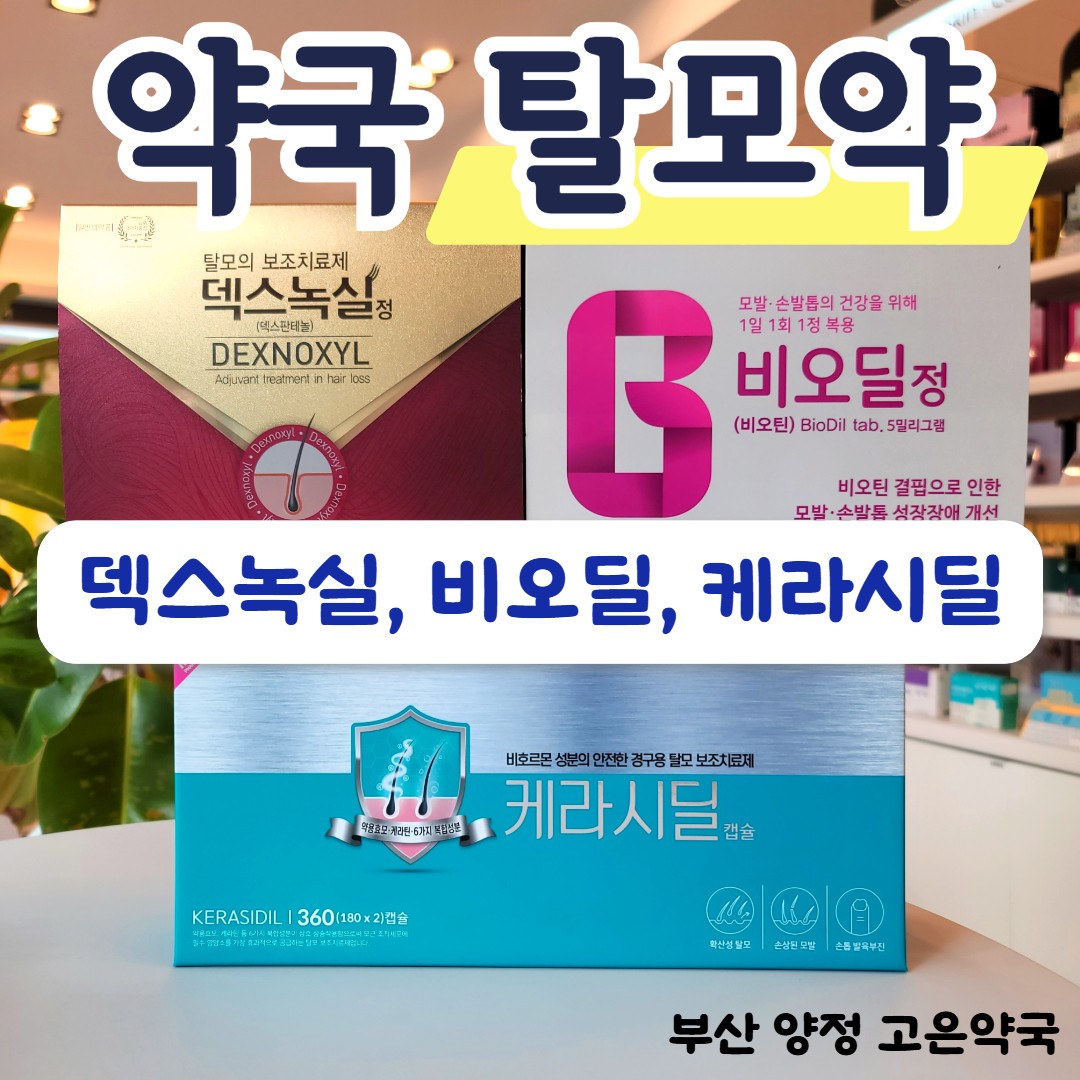 약국에서 구입 가능한 탈모약 3종 비교｜케라시딜캡슐 · 비오딜정 · 덱스녹실정 효과, 복용법