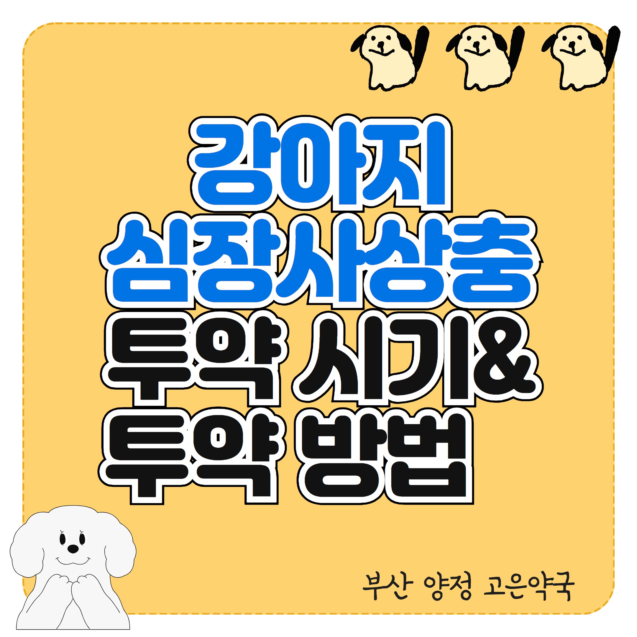 강아지 심장사상충약 투약 시기와 구매 방법 부산 동물약국