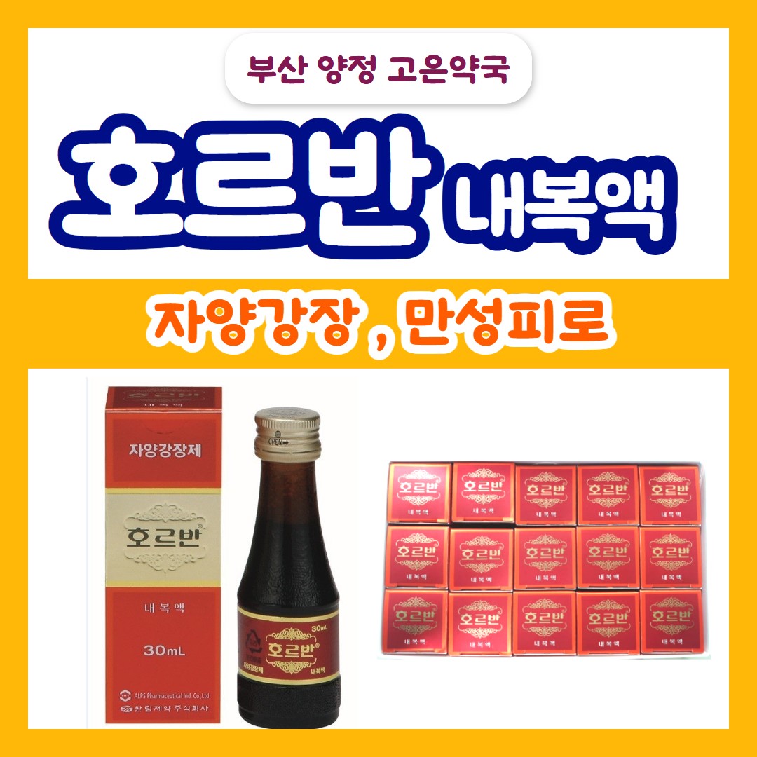 호르반 내복액 효능·성분·가격 총정리 | 반비틴크가 들어있는 자양강장제