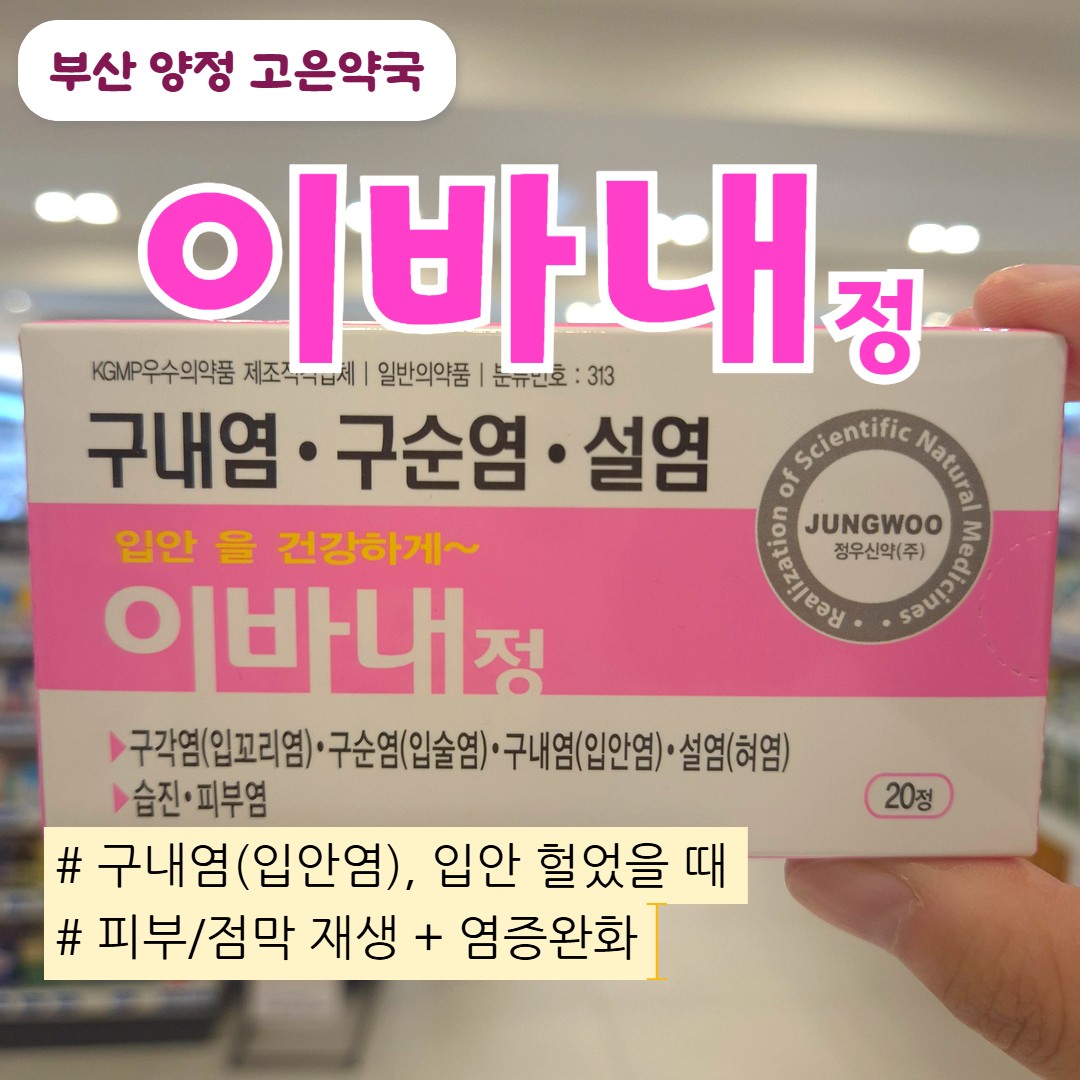 이바내정 구내염 잇몸염 먹는 약, 복용 방법, 효능 효과, 가격, 판매 약국